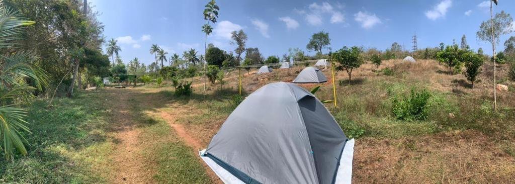 Wilderness Jungle Camp Hotell Malavalli Exteriör bild