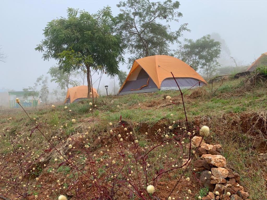 Wilderness Jungle Camp Hotell Malavalli Exteriör bild