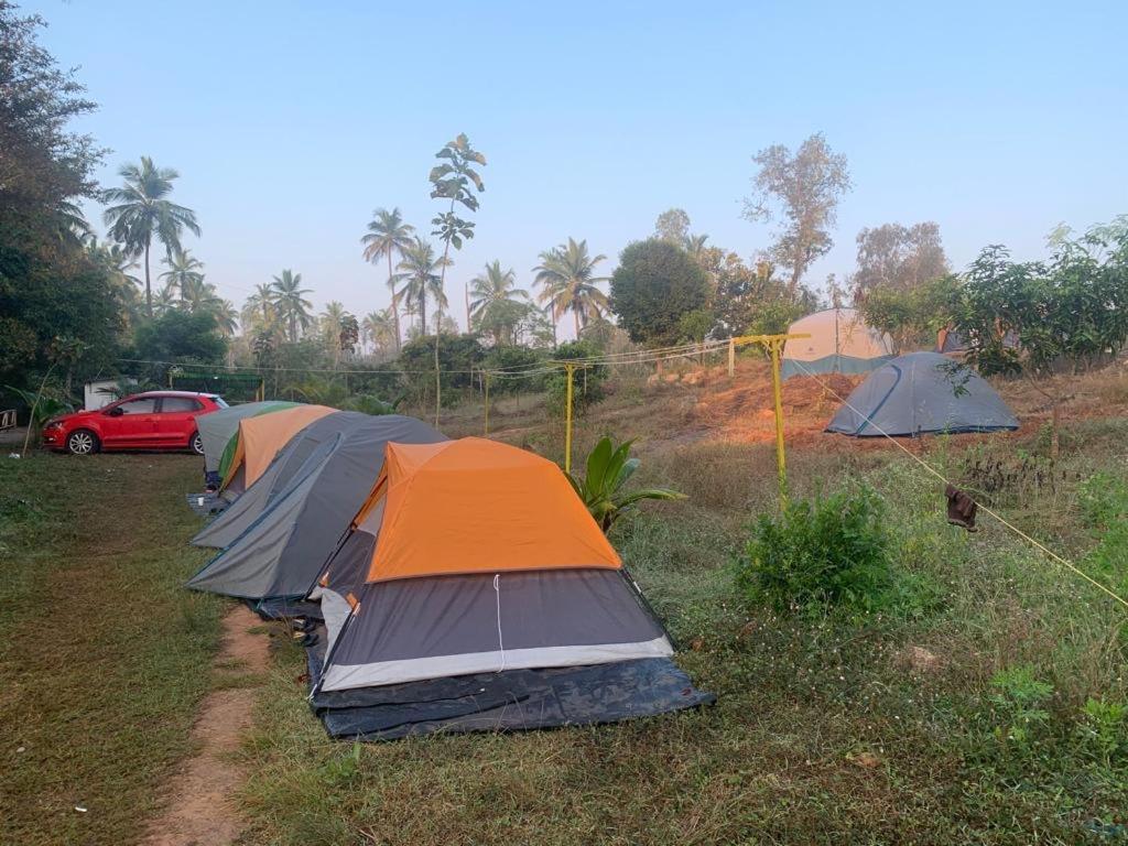 Wilderness Jungle Camp Hotell Malavalli Exteriör bild