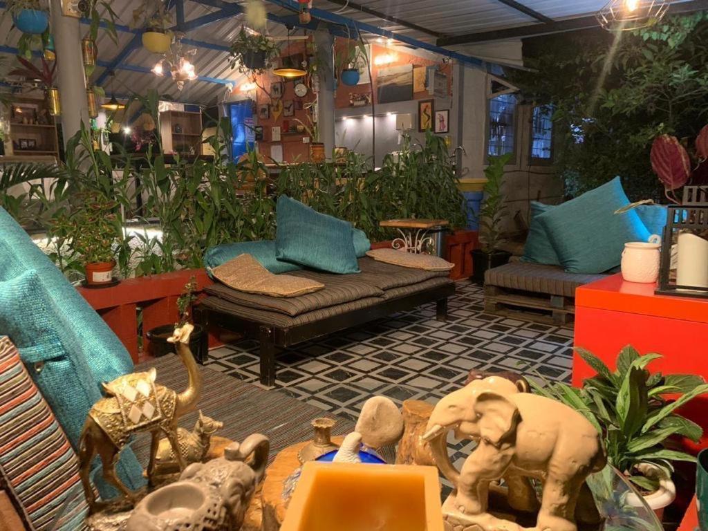 Wilderness Jungle Camp Hotell Malavalli Exteriör bild