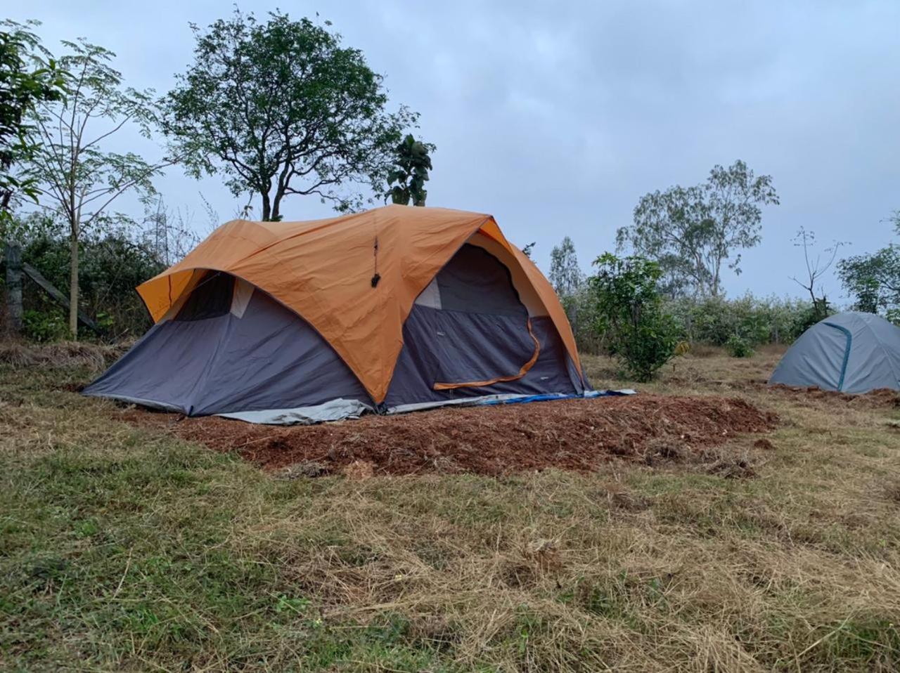 Wilderness Jungle Camp Hotell Malavalli Exteriör bild
